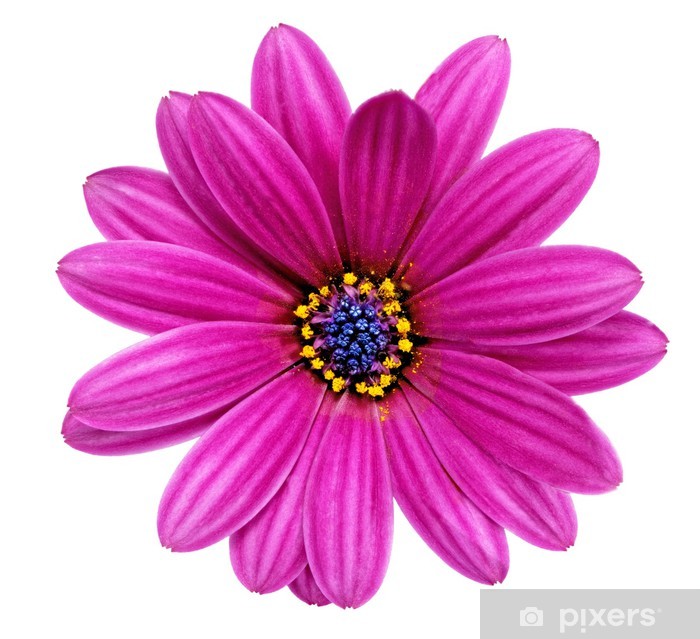 ufukduzce kullanıcısının profil resmi